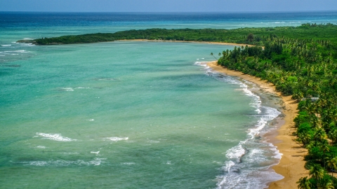 AX102_025.0000209F - Aerial stock photo of Beach with palm trees and turquoise water, Loiza, Puerto Rico