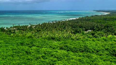 AX102_027.0000050F - Aerial stock photo of Palm trees on the coast by beautiful turquoise ocean, Loiza, Puerto Rico 