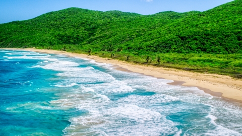 AX102_117.0000000F - Aerial stock photo of Turquoise blue waters along a Caribbean beach and lush vegetative coast, Culebra, Puerto Rico 