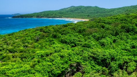 Coastal vegetation and sapphire blue waters, Culebra, Puerto Rico  Aerial Stock Photos | AX102_121.0000158F