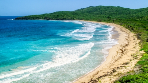 AX102_122.0000371F - Aerial stock photo of Coastal vegetation along a deserted Caribbean beach and sapphire blue waters, Culebra, Puerto Rico