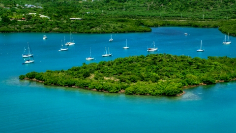 Group of sail boats in sapphire blue waters by tree covered coasts, Culebra, Puerto Rico Aerial Stock Photos | AX102_141.0000223F