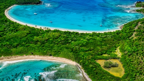 AX102_189.0000000F - Aerial stock photo of Turquoise waters and white sand Caribbean island beaches with trees, Culebrita, Puerto Rico