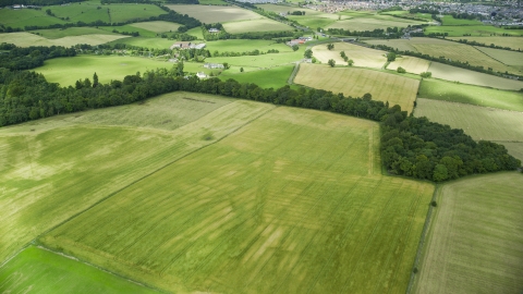 Trees around green fields and farms in Stirling, Scotland Aerial Stock Photos | AX109_012.0000084F