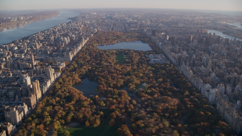 Central Park with autumn leaves at sunrise in New York City Aerial Stock Photos | AX118_190.0000000F