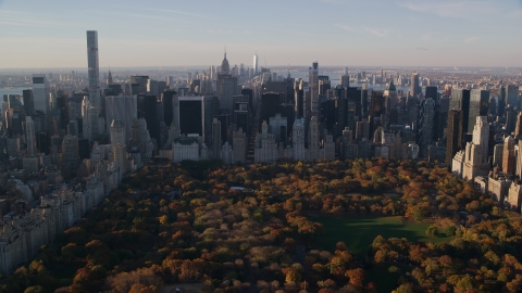 Autumn leaves on Central Park trees by Midtown at sunrise in New York City Aerial Stock Photos | AX118_195.0000126F