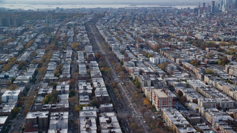 AX120_081.0000093F - Aerial stock photo of Tree-lined street through Brooklyn in Autumn, New York City