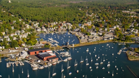 AX147_068.0000000 - Aerial stock photo of A harbor and coastal community surrounded by trees in autumn, Manchester-by-the-Sea, Massachusetts