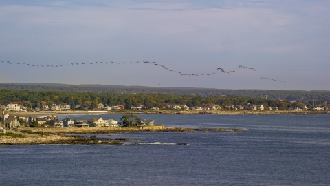 A flock of birds above a coastal town, autumn, Rye, New Hampshire Aerial Stock Photos | AX147_163.0000150