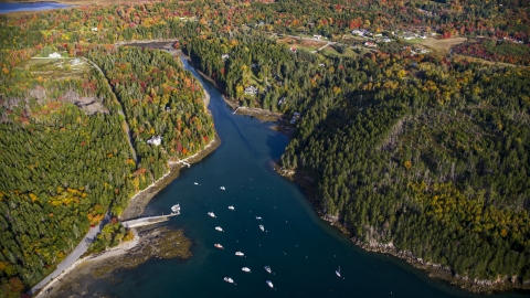 Seal Cove and waterfront homes, autumn, Tremont, Maine Aerial Stock Photos | AX148_155.0000000