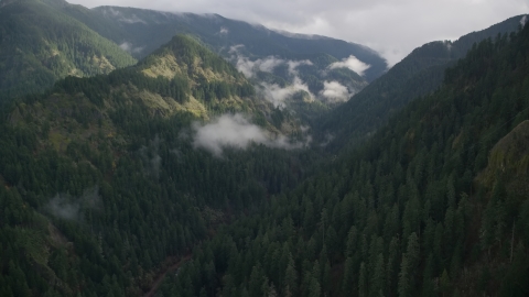 AX154_041.0000122F - Aerial stock photo of The Eagle Creek Trail canyon in Cascade Range, Hood River County, Oregon