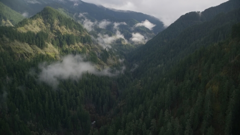 AX154_041.0000321F - Aerial stock photo of Eagle Creek Trail through a canyon in Cascade Range, Hood River County, Oregon