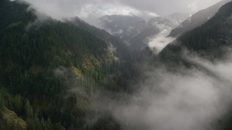 AX154_046.0000331F - Aerial stock photo of Misty clouds over Eagle Creek Trail in the Cascade Range, Hood River County, Oregon