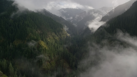 AX154_047.0000000F - Aerial stock photo of The Eagle Creek Trail and canyon in Cascade Range, Hood River County, Oregon