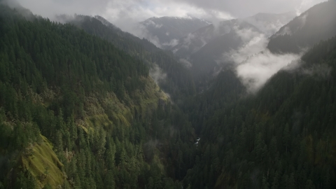 AX154_047.0000164F - Aerial stock photo of Eagle Creek Trail through a canyon in Cascade Range, Hood River County, Oregon