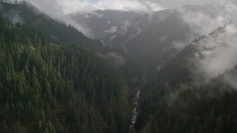 A misty canyon and Eagle Creek Trail, Cascade Range, Hood River County, Oregon Aerial Stock Photos | AX154_048.0000236F