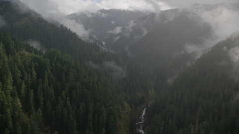 A misty canyon, evergreen forest, and Eagle Creek Trail, Cascade Range, Hood River County, Oregon Aerial Stock Photos | AX154_048.0000349F