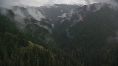 AX154_049.0000296F - Aerial stock photo of Eagle Creek Trail through a canyon with misty clouds, Cascade Range, Hood River County, Oregon