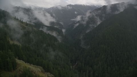 AX154_050.0000000F - Aerial stock photo of A canyon with Eagle Creek Trail and misty forest in Cascade Range, Hood River County, Oregon