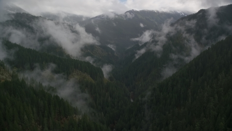 AX154_050.0000247F - Aerial stock photo of Eagle Creek Trail in a canyon with mist and forest in Cascade Range, Hood River County, Oregon