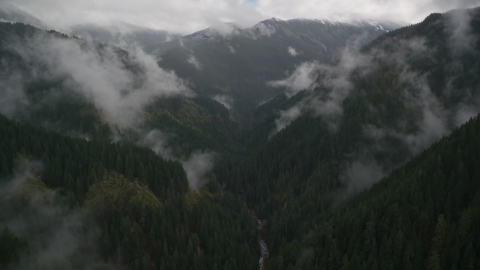 The Eagle Creek Trail through mountain canyon in Cascade Range, Hood River County, Oregon Aerial Stock Photos | AX154_051.0000000F