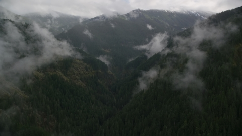 The Eagle Creek Trail through mountain canyon in Cascade Range, Hood River County, Oregon Aerial Stock Photos | AX154_051.0000255F