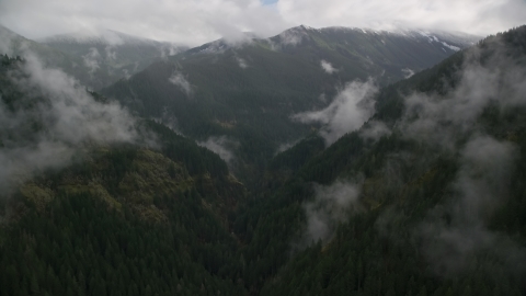 The Eagle Creek Trail in Cascade Range, Hood River County, Oregon Aerial Stock Photos | AX154_051.0000350F