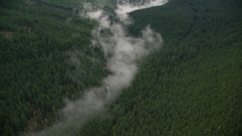 Bird's eye view of mist over a creek, and evergreen forest in the Cascade Range, Hood River County, Oregon Aerial Stock Photos | AX154_053.0000311F