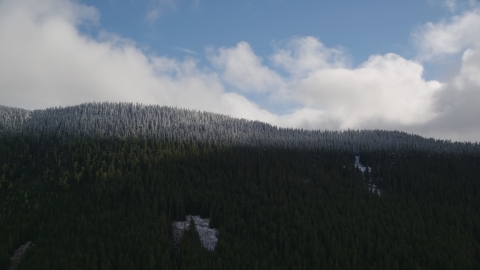 The snow line and snowy evergreen trees atop a mountain ridge, Cascade Range, Hood River County, Oregon Aerial Stock Photos | AX154_058.0000000F