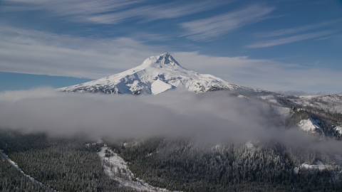 AX154_120.0000225F - Aerial stock photo of Low clouds over forest at the base of snow-capped Mount Hood, Cascade Range, Oregon