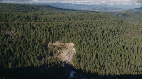 An evergreen forest in the Cascade Range, Hood River Valley, Oregon Aerial Stock Photos | AX154_129.0000284F