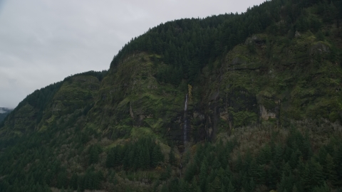 A waterfall on green cliffs on the Oregon side of Columbia River Gorge Aerial Stock Photos | AX154_187.0000212F