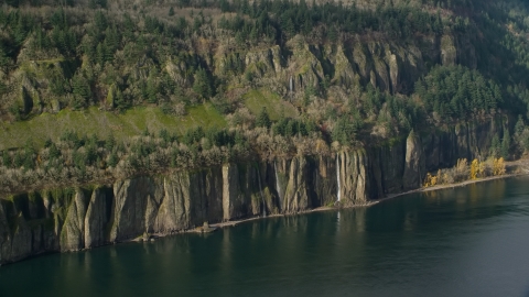 AX154_195.0000000F - Aerial stock photo of Four waterfalls on steep green cliffs and Columbia River on the Washington side of Columbia River Gorge