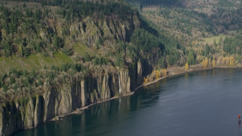 AX154_195.0000171F - Aerial stock photo of Four waterfalls on steep green cliffs beside the Columbia River on the Washington side of Columbia River Gorge