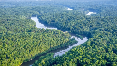 A bridge spanning a river through dense forest near Manassas, Virginia Aerial Stock Photos | AXP075_000_0028F