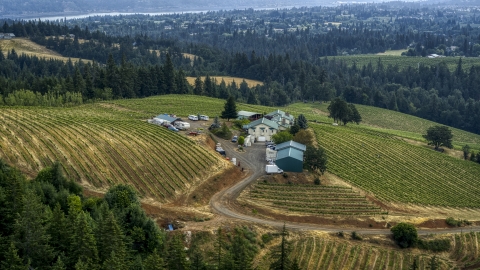 Buildings and grapevines at Phelps Creek Vineyards in Hood River, Oregon Aerial Stock Photos | DXP001_015_0018