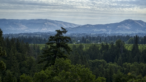 Mountain ridges in the distance seen from trees in Hood River, Oregon Aerial Stock Photos | DXP001_015_0025