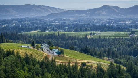 Phelps Creek Vineyards on a hilltop with a view of orchards and mountain ridges in Hood River, Oregon Aerial Stock Photos | DXP001_016_0009