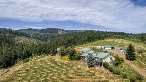 Hilltop buildings and grapevines at Phelps Creek Vineyards in Hood River, Oregon Aerial Stock Photos | DXP001_017_0003