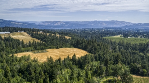 DXP001_017_0019 - Aerial stock photo of Evergreen trees and brown hills in Hood River, Oregon