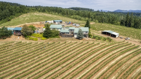 DXP001_017_0023 - Aerial stock photo of Grapevines around winery buildings on the hilltop at the Phelps Creek Vineyards, Hood River, Oregon