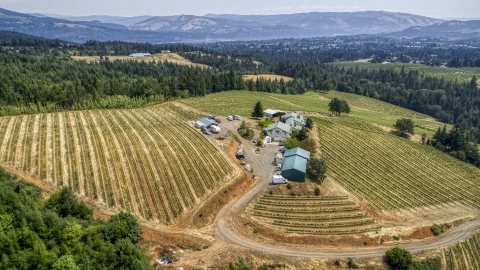 Buildings and hillside grapevines at Phelps Creek Vineyards in Hood River, Oregon Aerial Stock Photos | DXP001_017_0024