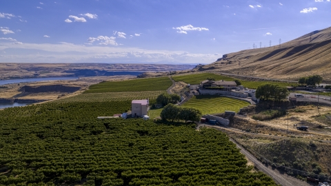 Grapevines and the Maryhill Winery in Goldendale, Washington Aerial Stock Photos | DXP001_018_0011