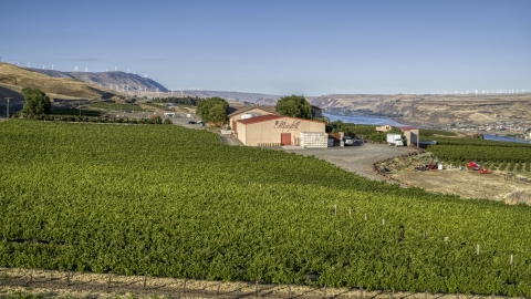 Side of the Maryhill Winery main building seen from grapevines in Goldendale, Washington Aerial Stock Photos | DXP001_019_0020