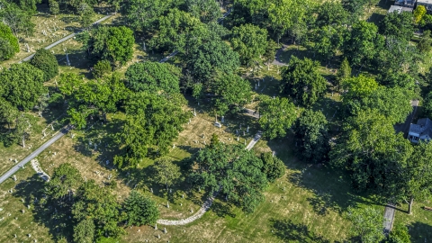 Gravestones and trees at a cemetery in Kansas City, Missouri Aerial Stock Photos | DXP001_044_0004