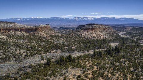 A mesa surrounded by desert plants in New Mexico Aerial Stock Photos | DXP002_133_0003