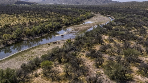 DXP002_141_0005 - Aerial stock photo of Horses standing beside a shallow desert river