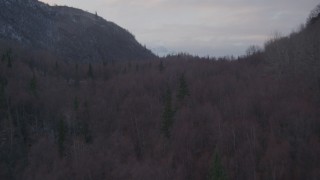 4K aerial stock footage over wooded foothills, reveal Chugach Mountains, Chugach National Forest, Alaska Aerial Stock Footage | AK0001_0063