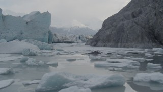 AK0001_0117 - 4K aerial stock footage over Knik River, following two bald eagles, approach Knik Glacier, Alaska