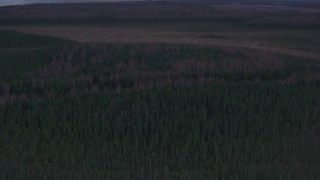 4K aerial stock footage approaching a forest, valley, Point MacKenzie, Alaska Aerial Stock Footage | AK0001_0172